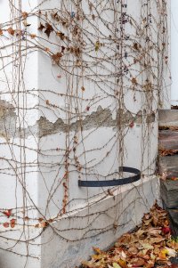 <p><em>After Commons </em>, 2021<br />
Steel, garlic, variable dimensions<br />
Palazzina, Basel<br />
Image: Guadalupe Ruiz</p>