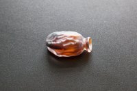 <p><em>Date Series (Medjool)</em>, 2017<br />
Mold-blown glass, variable dimensions, 50 uniques</p>