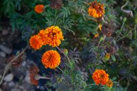 <p>Filmstill, <em>Disposition</em>, 2019<br />
HD video, stereo, 9'<br />
<em>Disposition</em>, o.T., Lucerne, CH</p>