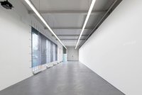 <p>Exhibition view, <em>Being Specific</em>, 2013<br />
Kunsthaus Baselland, Muttenz, CH</p>