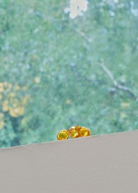 <p><em>Date Series (Barhi), 1–50</em>, 2017<br />
Mold-blown glass, variable dimensions, 50 uniques<br />
Kunsthaus L6, Freiburg, DE<br />
Image: Bernhard Strauss</p>